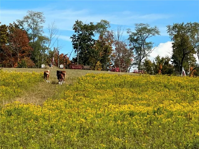 $215,000 | 788 Sagetown Road, Southport, NY 14871