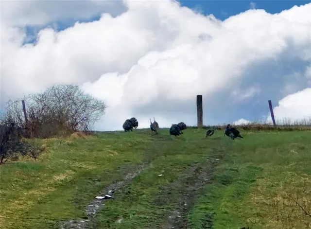 $215,000 | 788 Sagetown Road, Southport, NY 14871