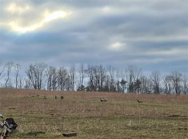 $215,000 | 788 Sagetown Road, Southport, NY 14871