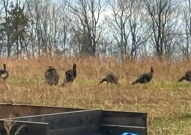 $215,000 | 788 Sagetown Road, Southport, NY 14871