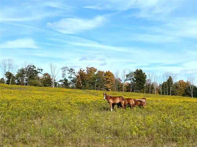 $215,000 | 788 Sagetown Road, Southport, NY 14871