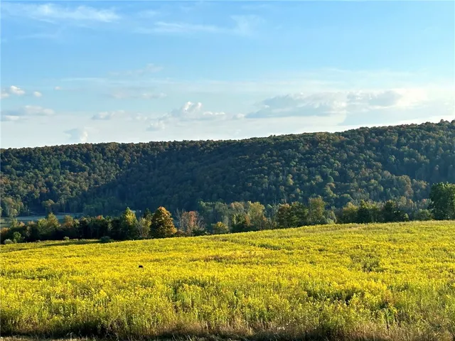 $215,000 | 788 Sagetown Road, Southport, NY 14871