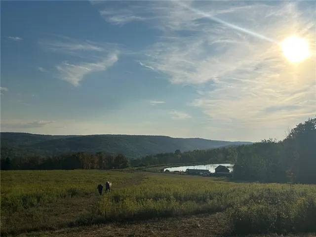 $215,000 | 788 Sagetown Road, Southport, NY 14871