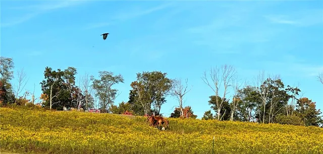 $215,000 | 788 Sagetown Road, Southport, NY 14871