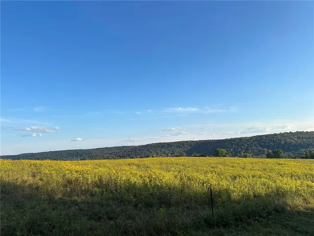 $215,000 | 788 Sagetown Road, Southport, NY 14871