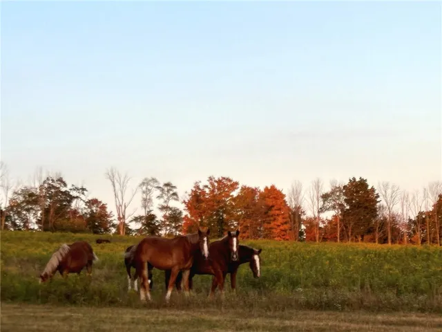 $215,000 | 788 Sagetown Road, Southport, NY 14871