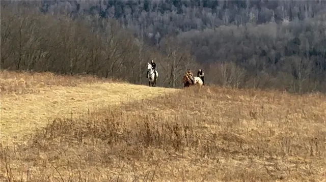 $215,000 | 788 Sagetown Road, Southport, NY 14871