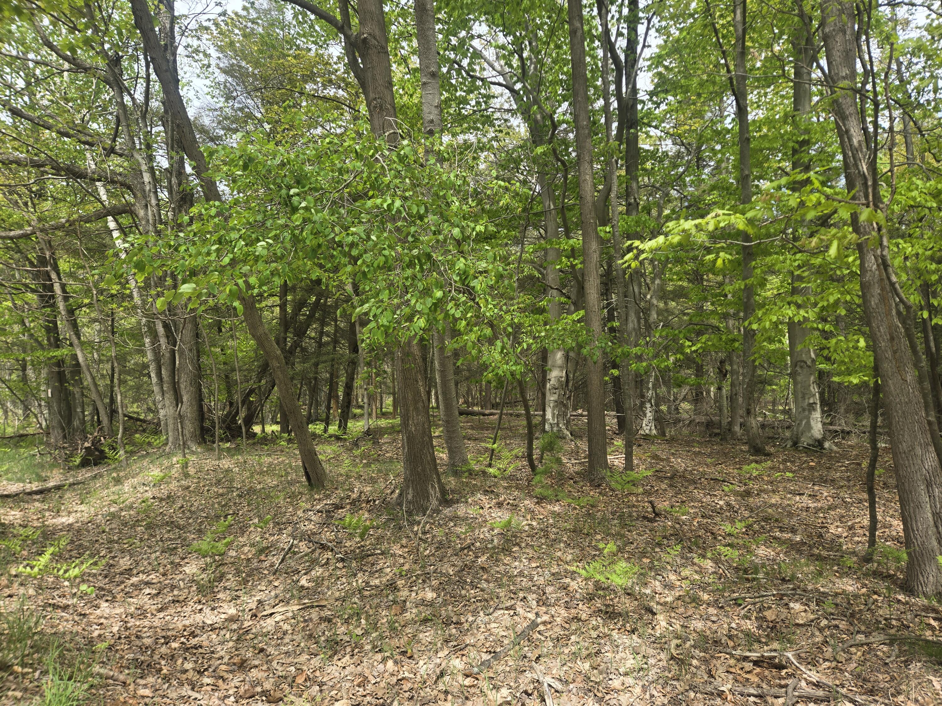 Vl North Ridge Road Pentwater, MI 49449 - Photo 3 of 8 20260522_122255