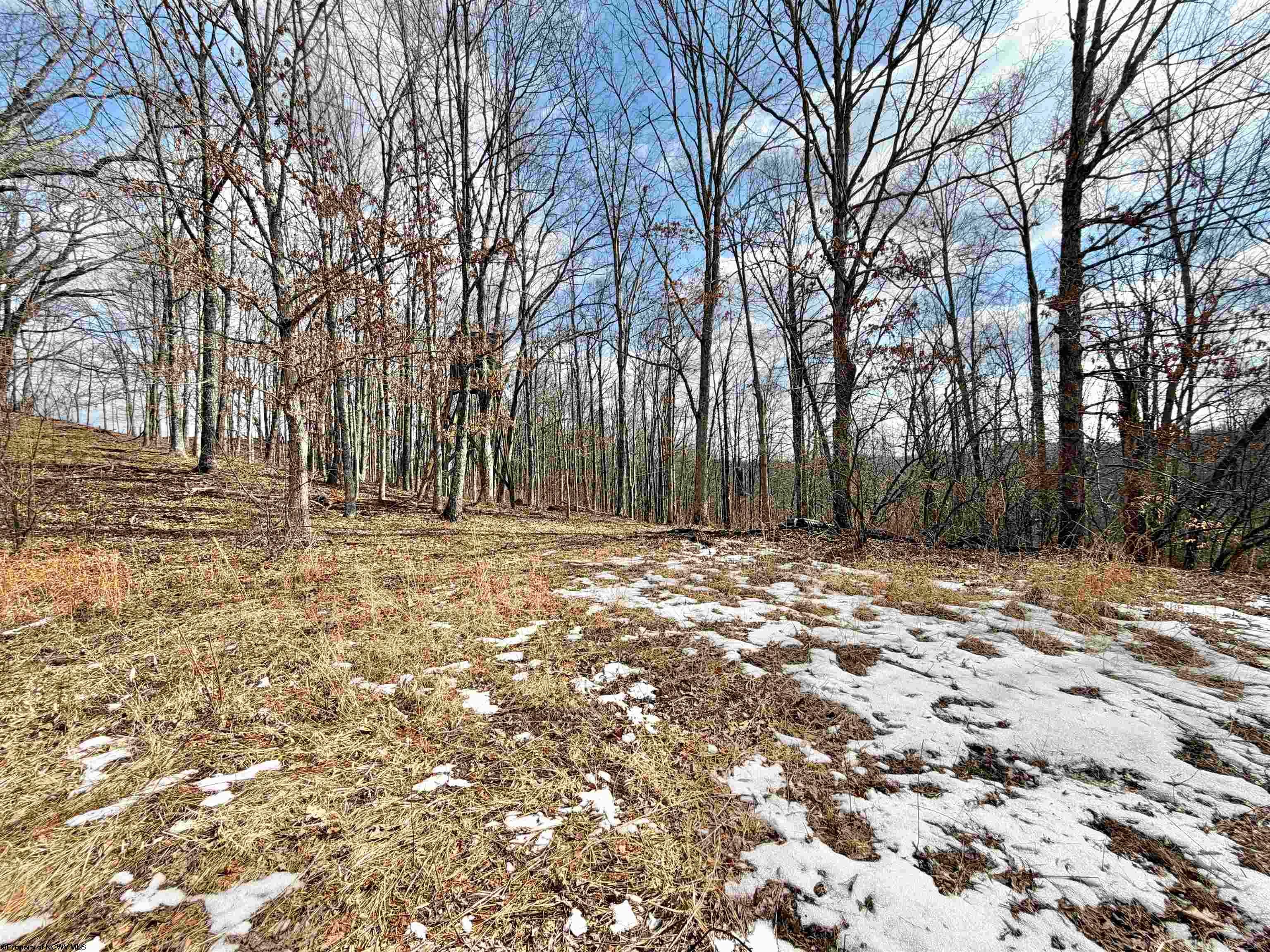 3938 St Clara Road Alum Bridge, WV 26321 - Photo 12 of 23 Gallery Image 12
