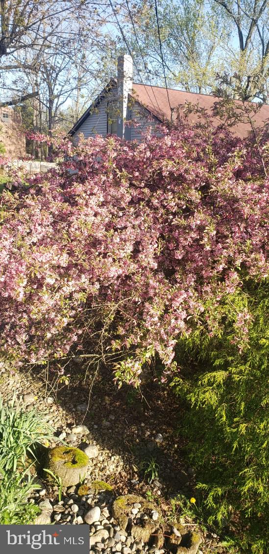 3370 Valley Road Marysville, PA 17053 - Photo 6 of 7 a view of a yard with wooden fence