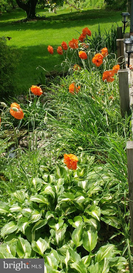 3370 Valley Road Marysville, PA 17053 - Photo 7 of 7 a garden view with a lake