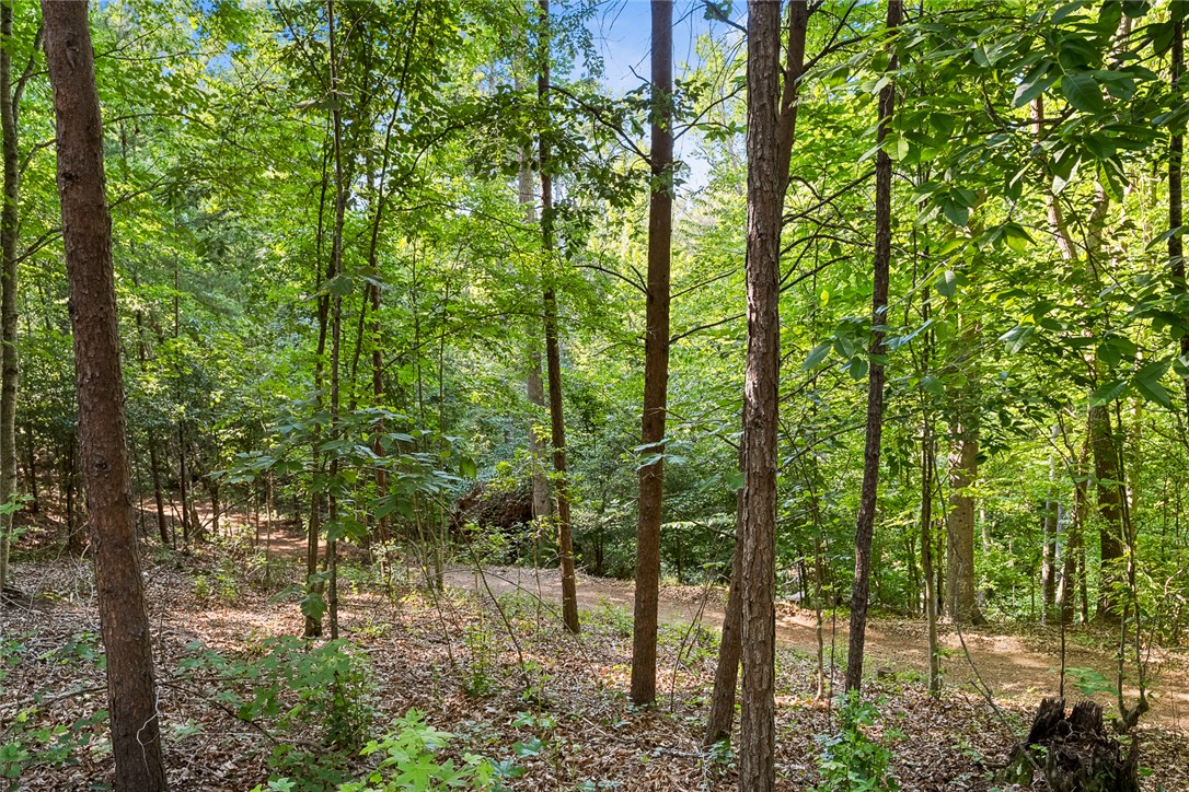 75 Hidden Acres Trail Pelzer, SC 29669 - Photo 11 of 32