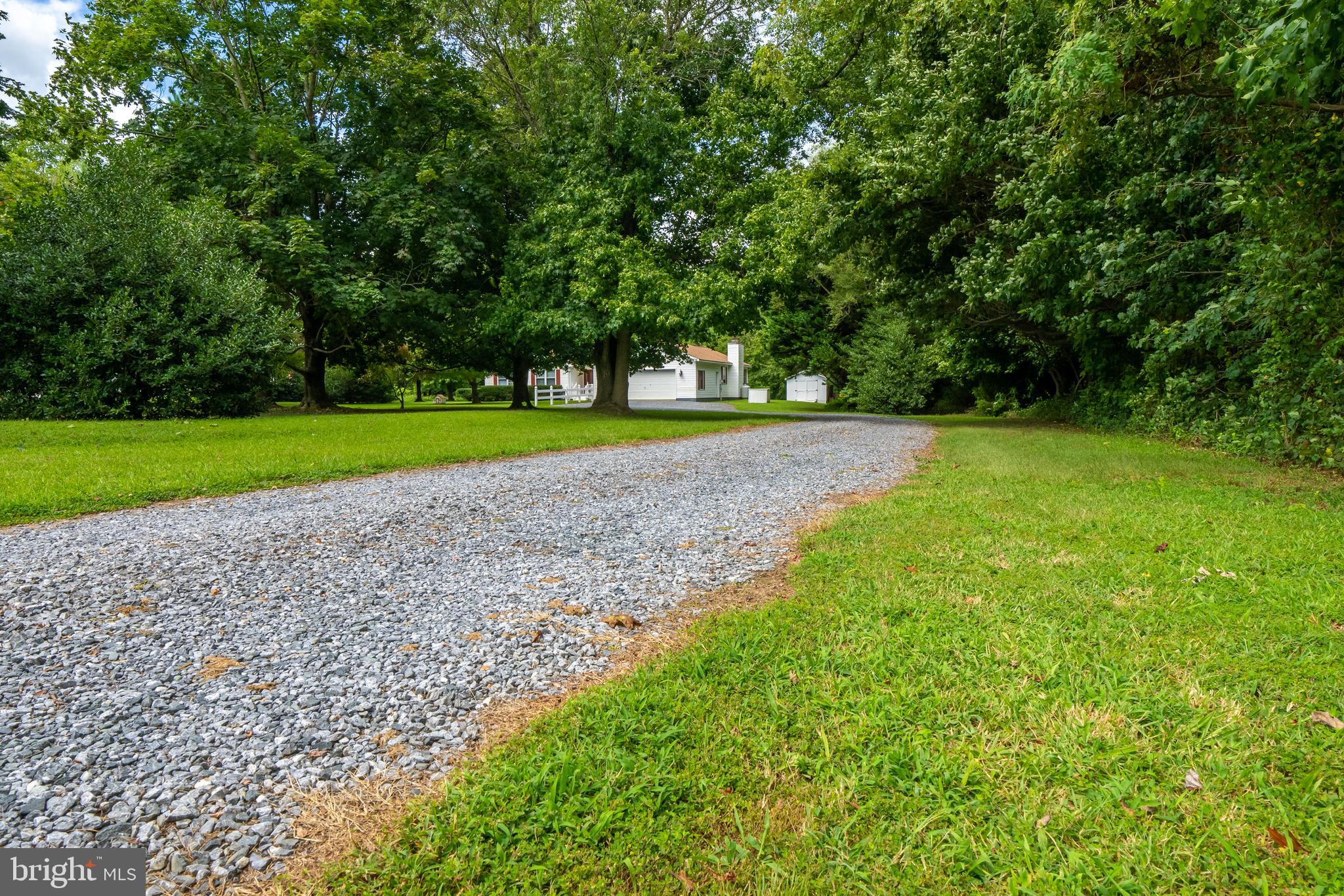 12380 Lewistown Road Cordova, MD 21625 - Photo 2 of 50 Driveway from road