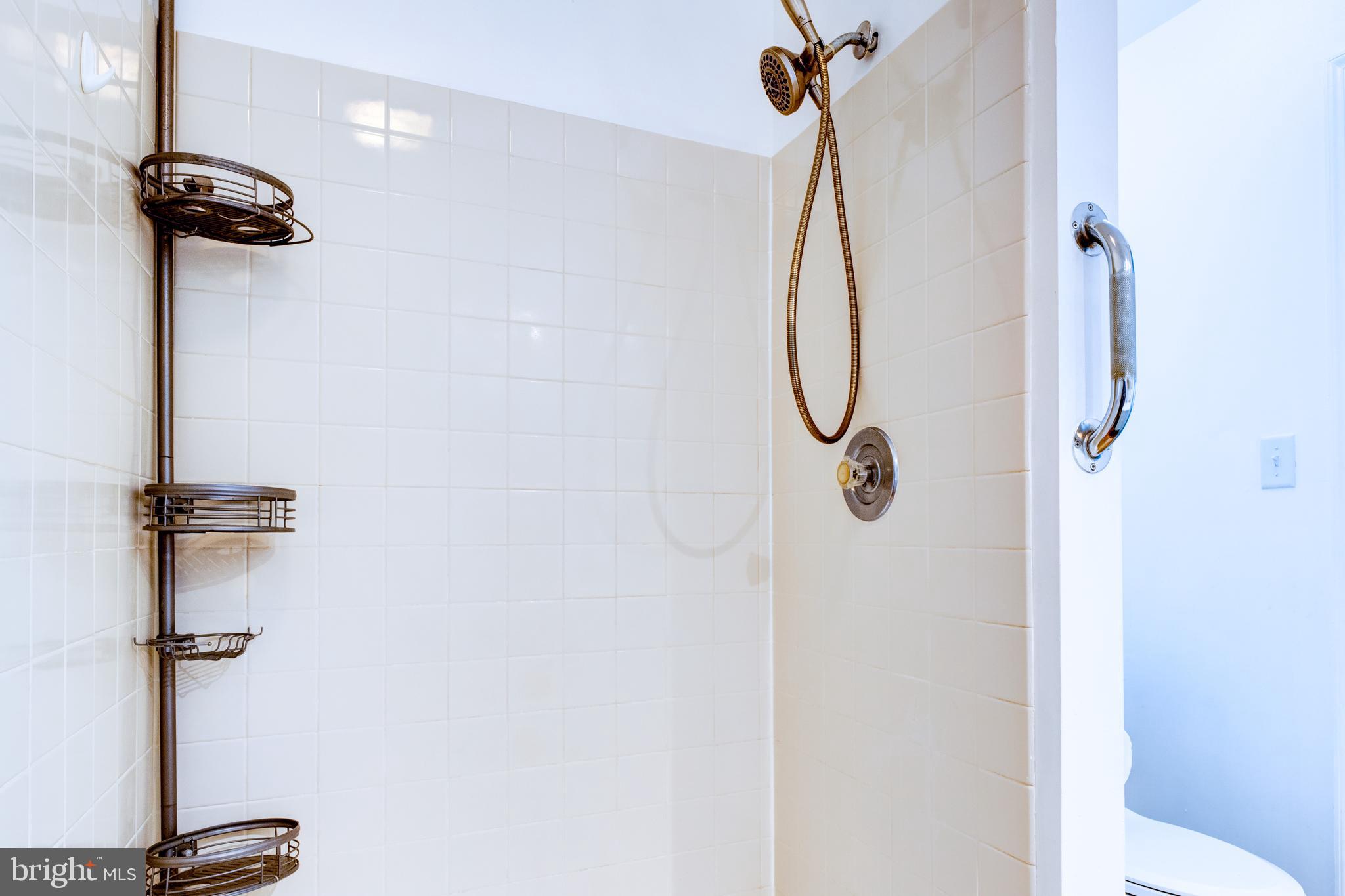 12380 Lewistown Road Cordova, MD 21625 - Photo 25 of 50 Master bath's shower