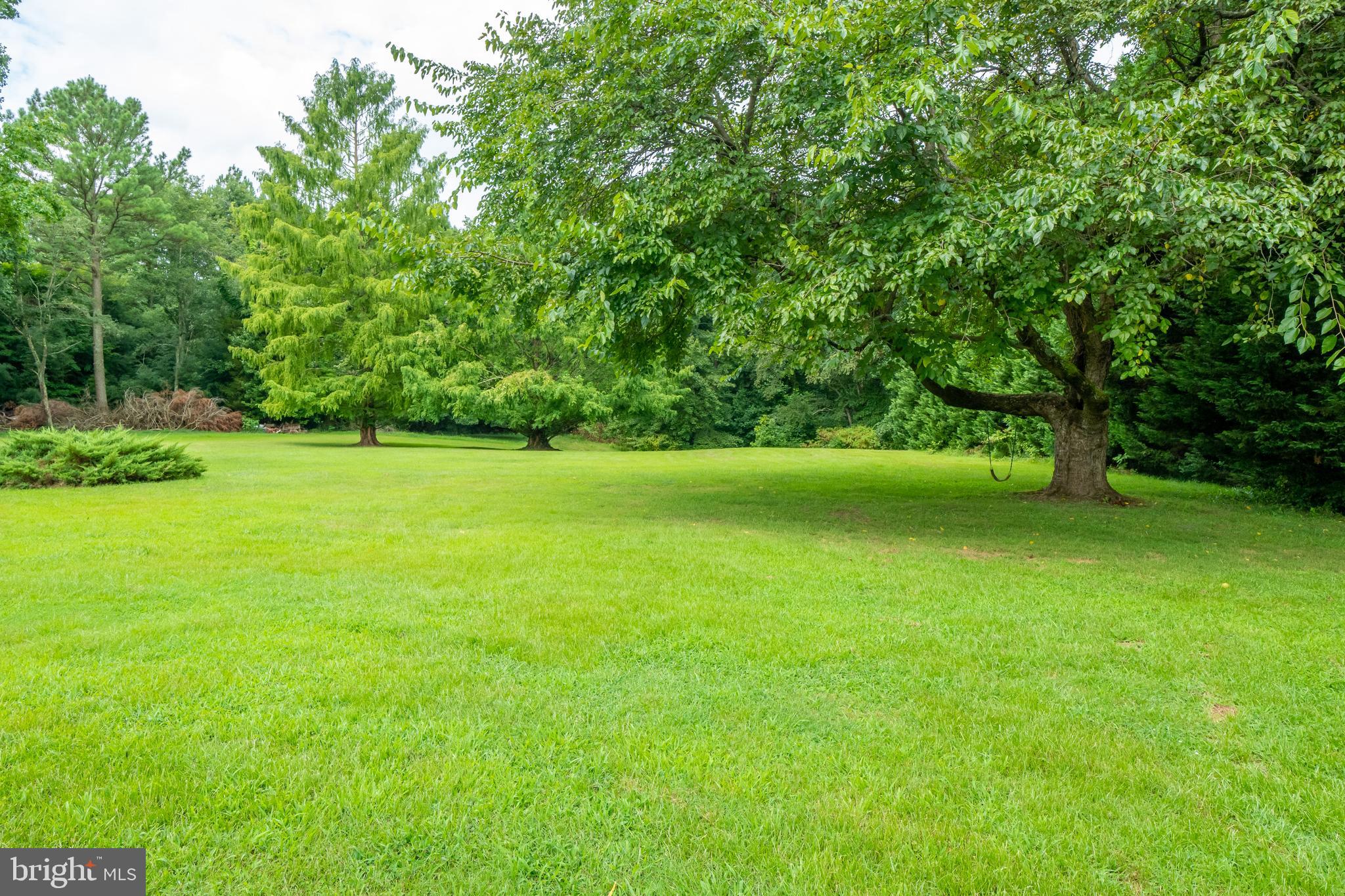 12380 Lewistown Road Cordova, MD 21625 - Photo 41 of 50 Backyard