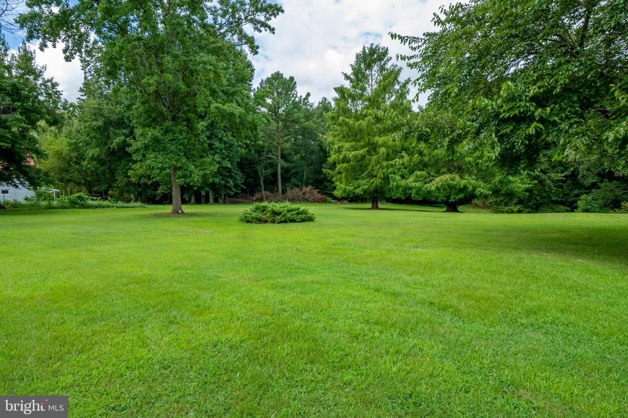 12380 Lewistown Road Cordova, MD 21625 - Photo 42 of 50 Backyard