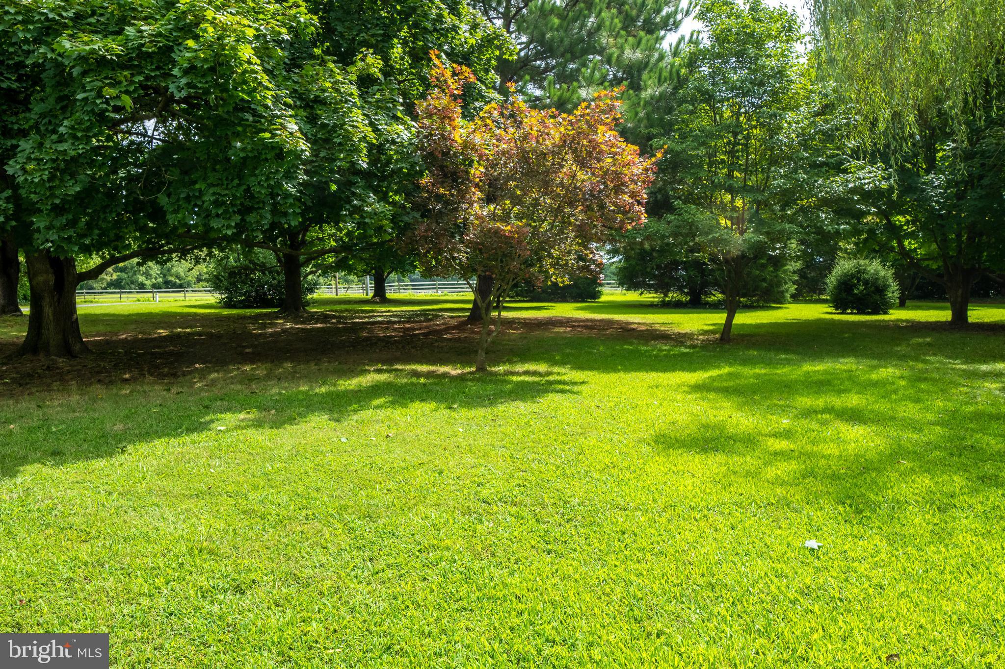 12380 Lewistown Road Cordova, MD 21625 - Photo 7 of 50 Front yard