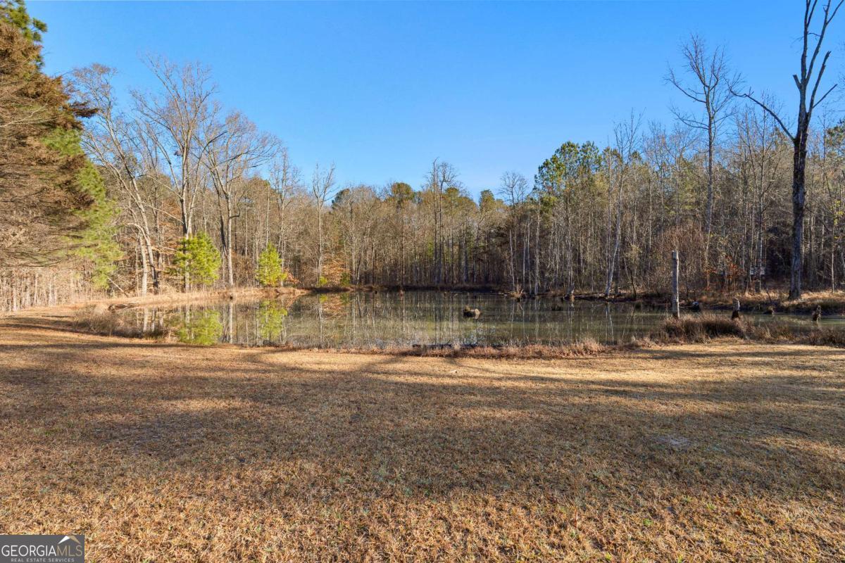 4101 West Ellis Road Griffin, GA 30223 - Photo 119 of 133 a view of a yard with a house