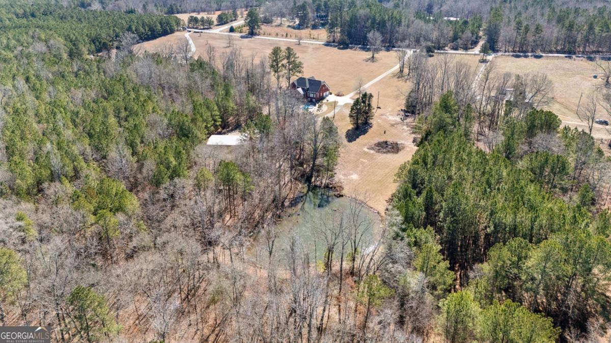 4101 West Ellis Road Griffin, GA 30223 - Photo 120 of 133 a view of a house with a yard and trees