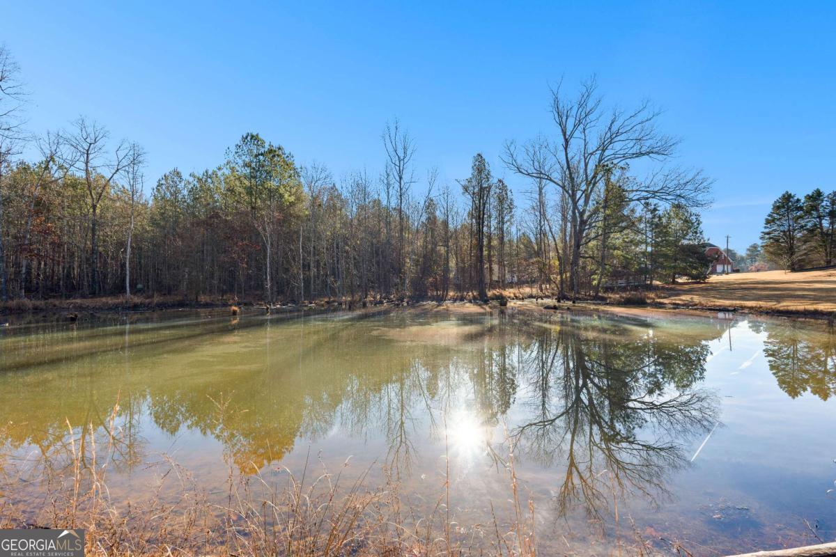 4101 West Ellis Road Griffin, GA 30223 - Photo 8 of 133