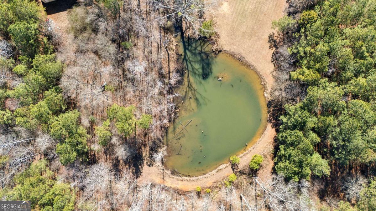 4101 West Ellis Road Griffin, GA 30223 - Photo 9 of 133