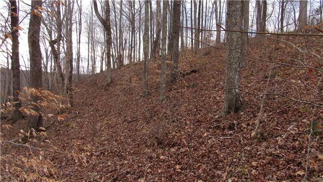 6 Sunset Pointe Point Sparta, TN 38583 - Photo 2 of 12 Gallery Image 2