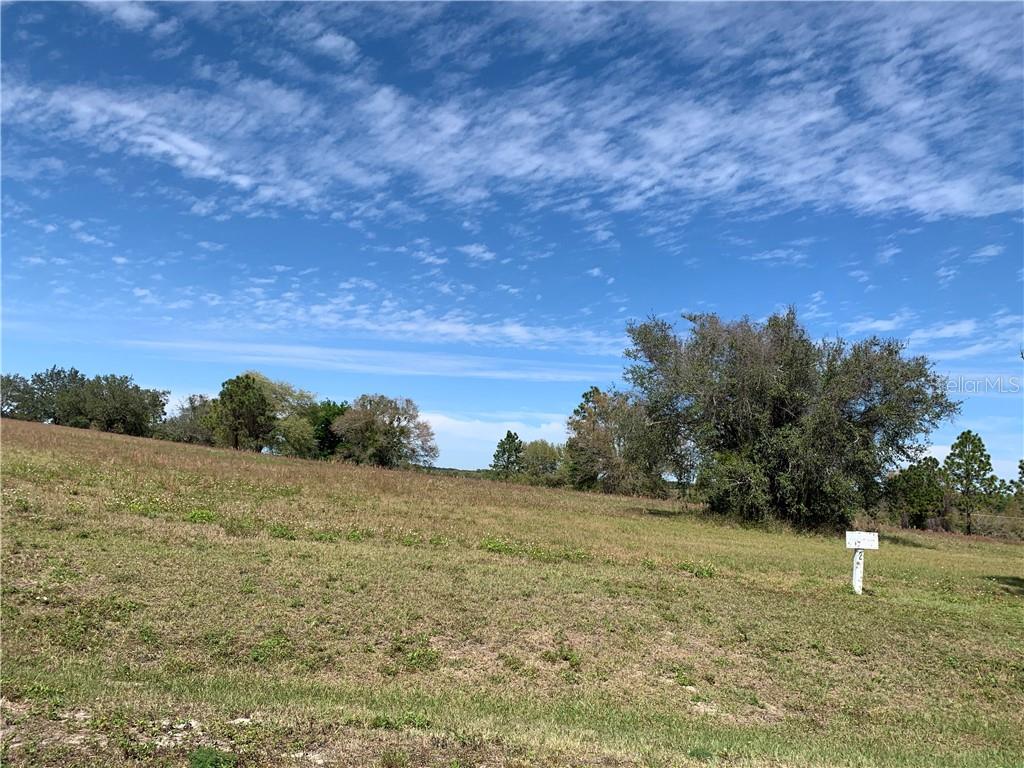 2 Ranch Club Boulevard Groveland, FL 34736 - Photo 1 of 1 Gallery Image 1