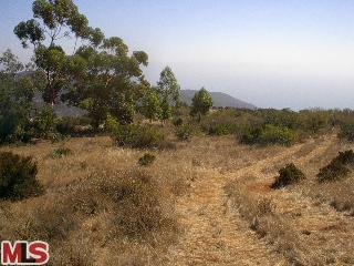 9900 Cotharin Road Malibu, CA 90265 - Photo 1 of 1 Gallery Image 1
