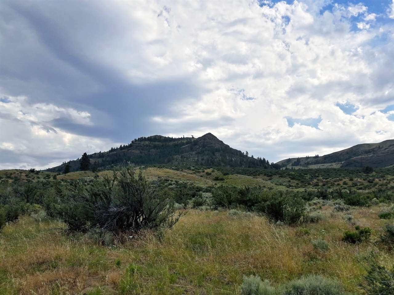 0 Neal Canyon Road Grand Coulee, WA 99133 - Photo 4 of 12 Gallery Image 4