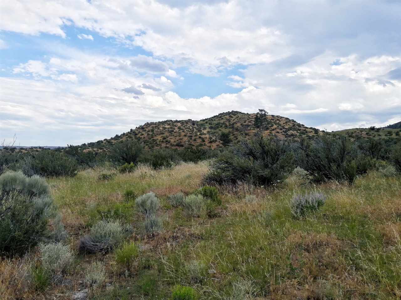 0 Neal Canyon Road Grand Coulee, WA 99133 - Photo 5 of 12 Gallery Image 5