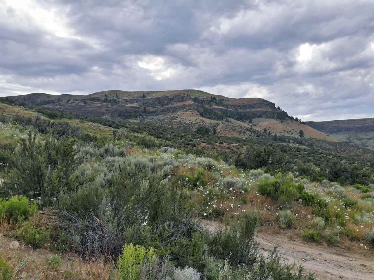 0 Neal Canyon Road Grand Coulee, WA 99133 - Photo 7 of 12 Gallery Image 7