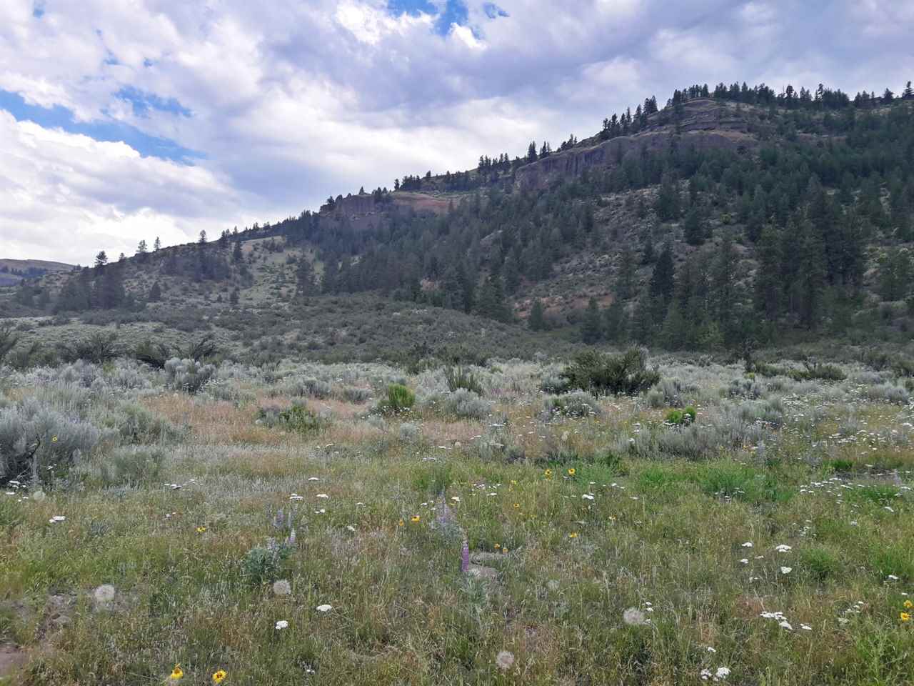0 Neal Canyon Road Grand Coulee, WA 99133 - Photo 9 of 12 Gallery Image 9