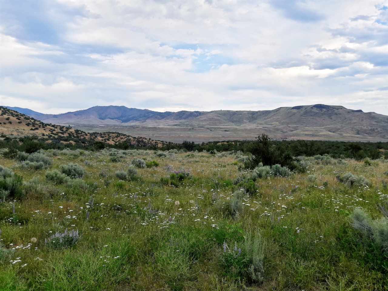 0 Neal Canyon Road Grand Coulee, WA 99133 - Photo 10 of 12 Gallery Image 10