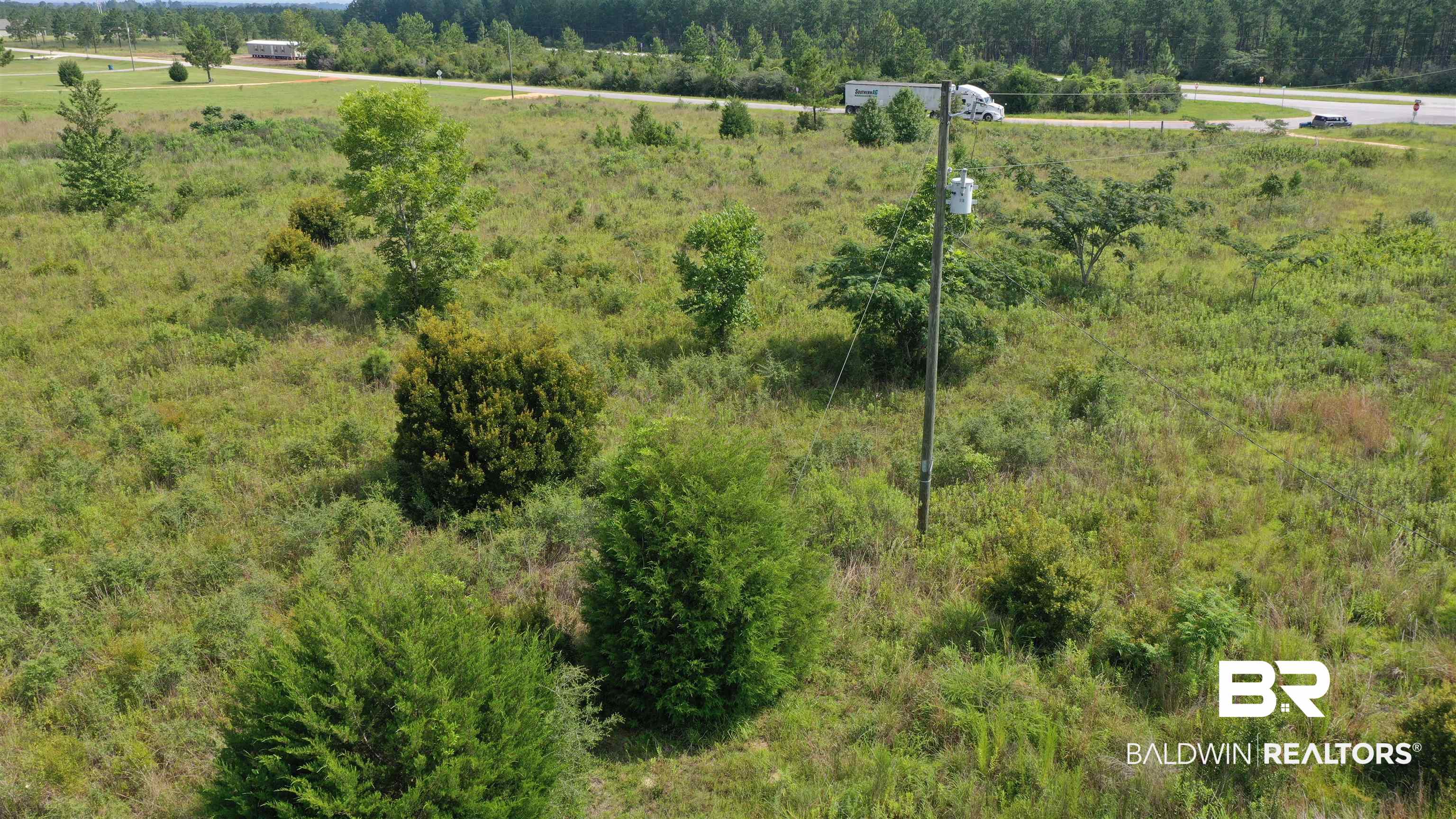 0 Highway 113 Flomaton, AL 36441 - Photo 15 of 24 Birds eye view of property