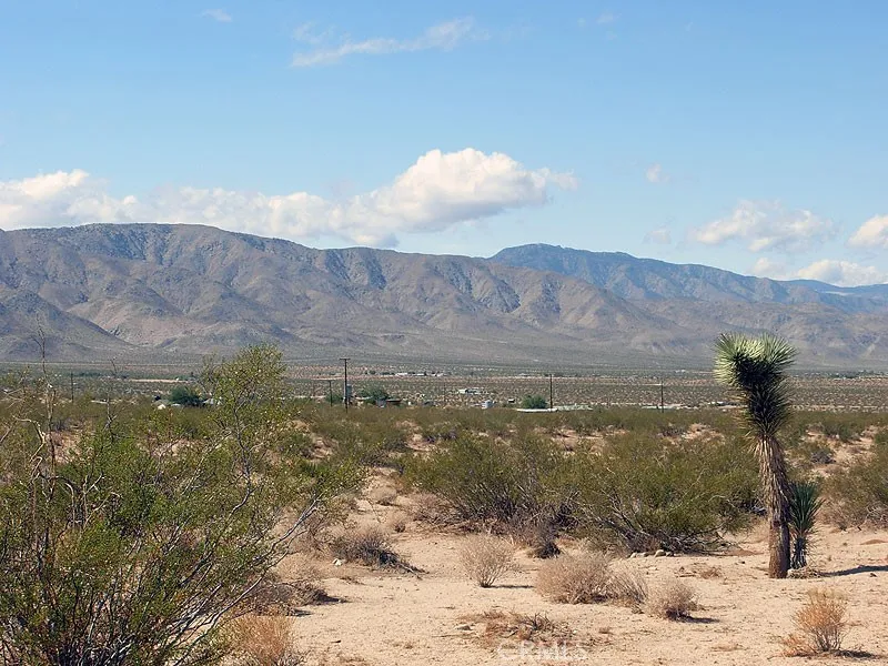 775 Manzanita Road Landers, CA 92285 - Photo 5 of 15 a view of lake with mountain