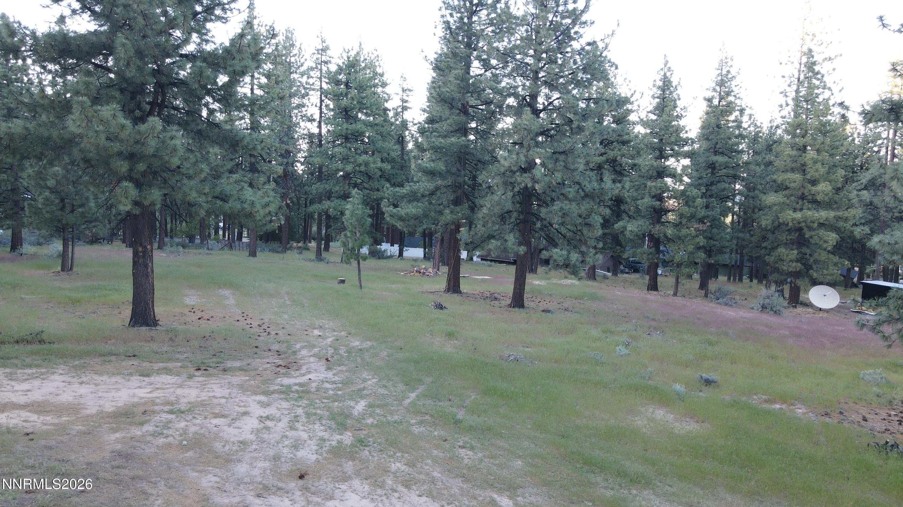 4300 Meadow Wood Road Carson City, NV 89703 - Photo 3 of 15 a view of a forest with trees in the background