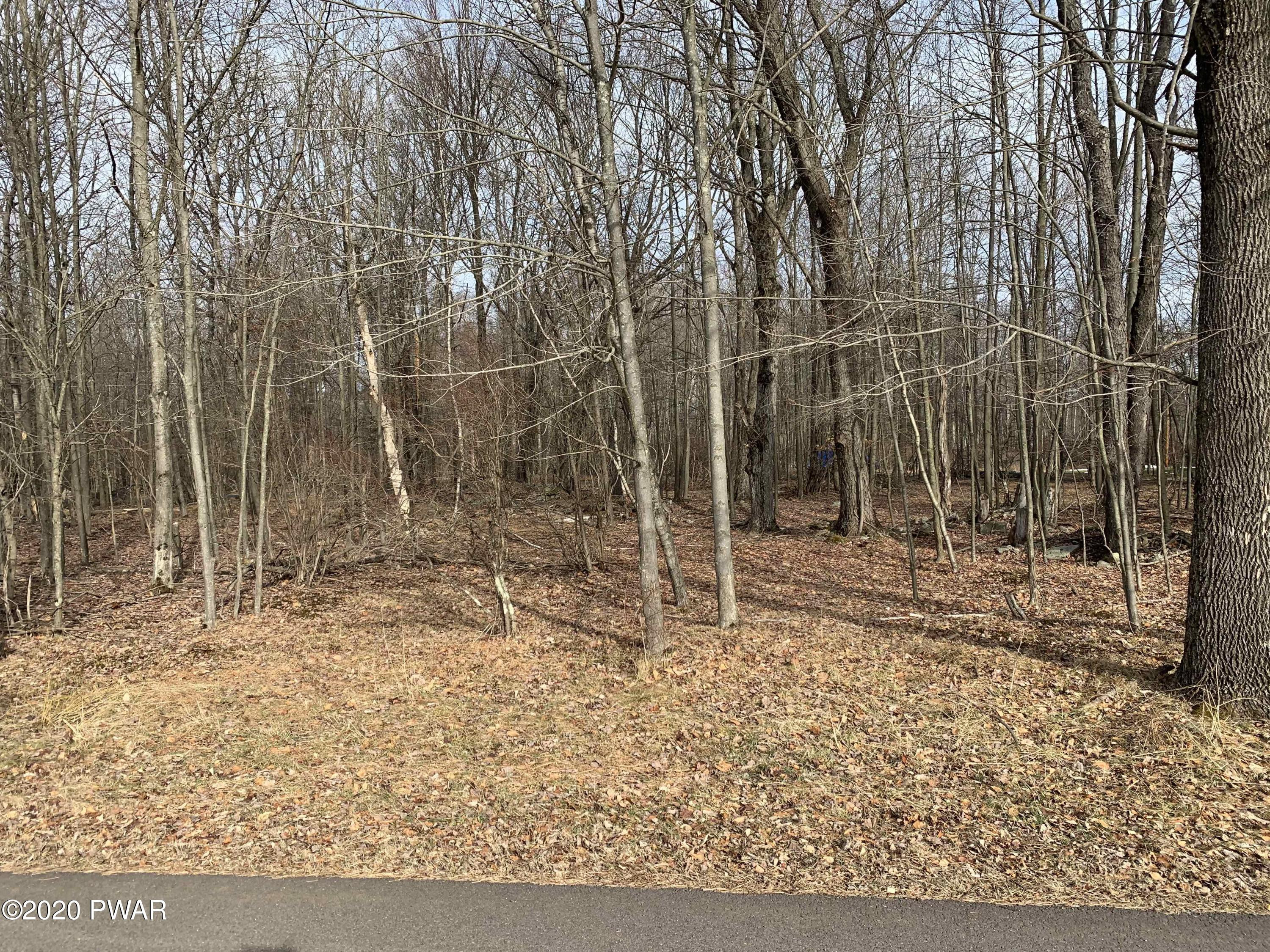 Lot 357 Black Bear Road Lake Ariel, PA 18436 - Photo 4 of 9