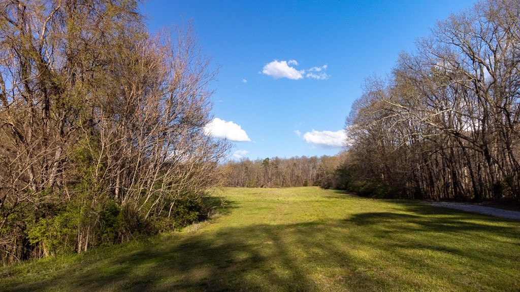 0 Harold Patterson Road Dandridge, TN 37725 - Photo 8 of 19