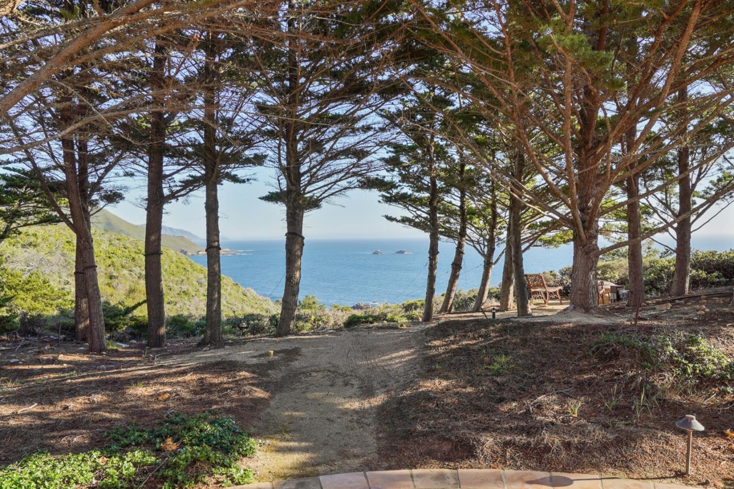 31541 Highway 1 Carmel, CA 93923 - Photo 61 of 73 a view of a tree in the middle of a yard