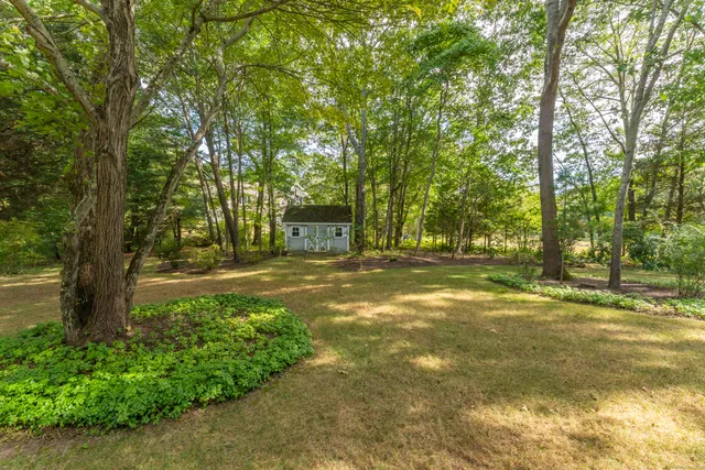 a view of outdoor space with trees all around