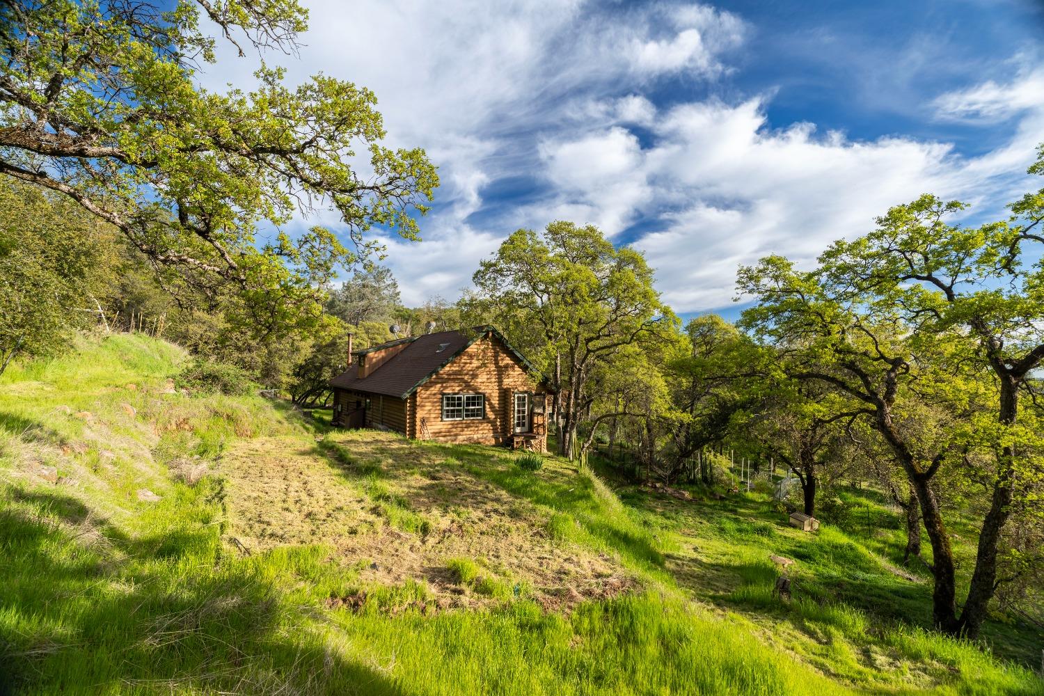 16100 Barbara Court Grass Valley, CA 95949 - Photo 2 of 86