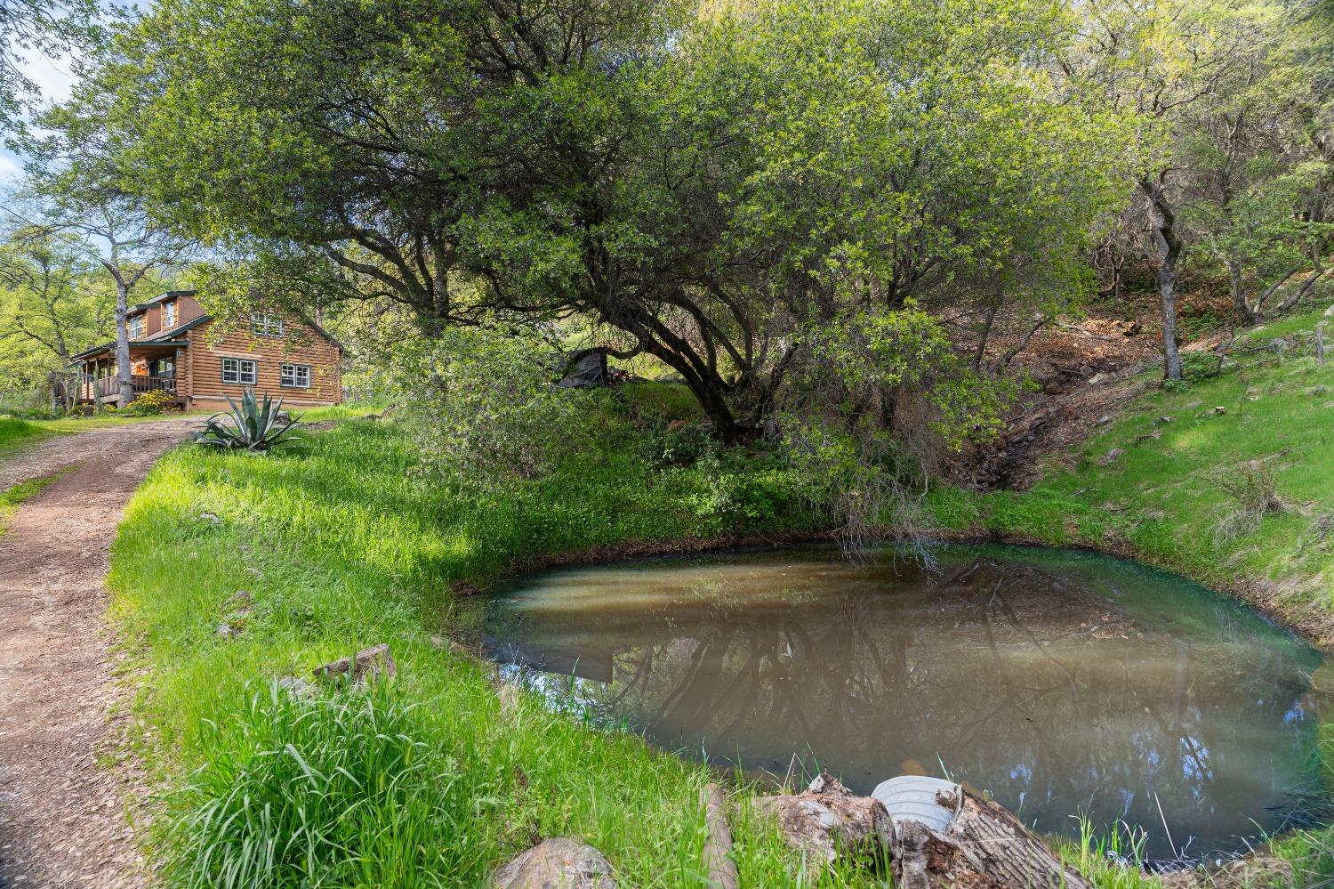 16100 Barbara Court Grass Valley, CA 95949 - Photo 45 of 86