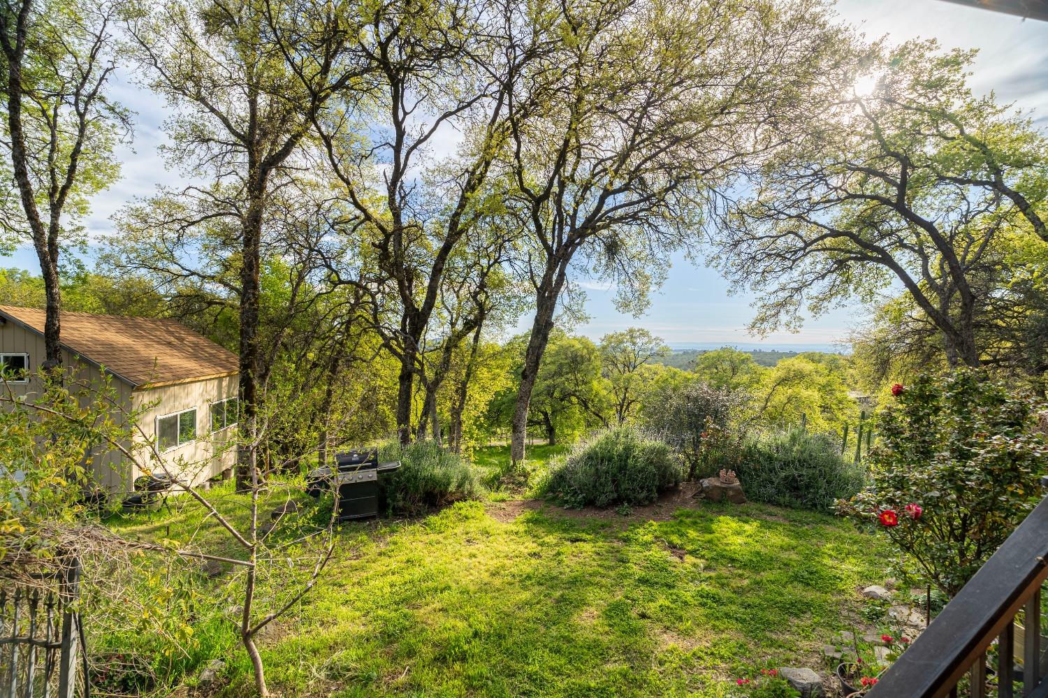 16100 Barbara Court Grass Valley, CA 95949 - Photo 50 of 86