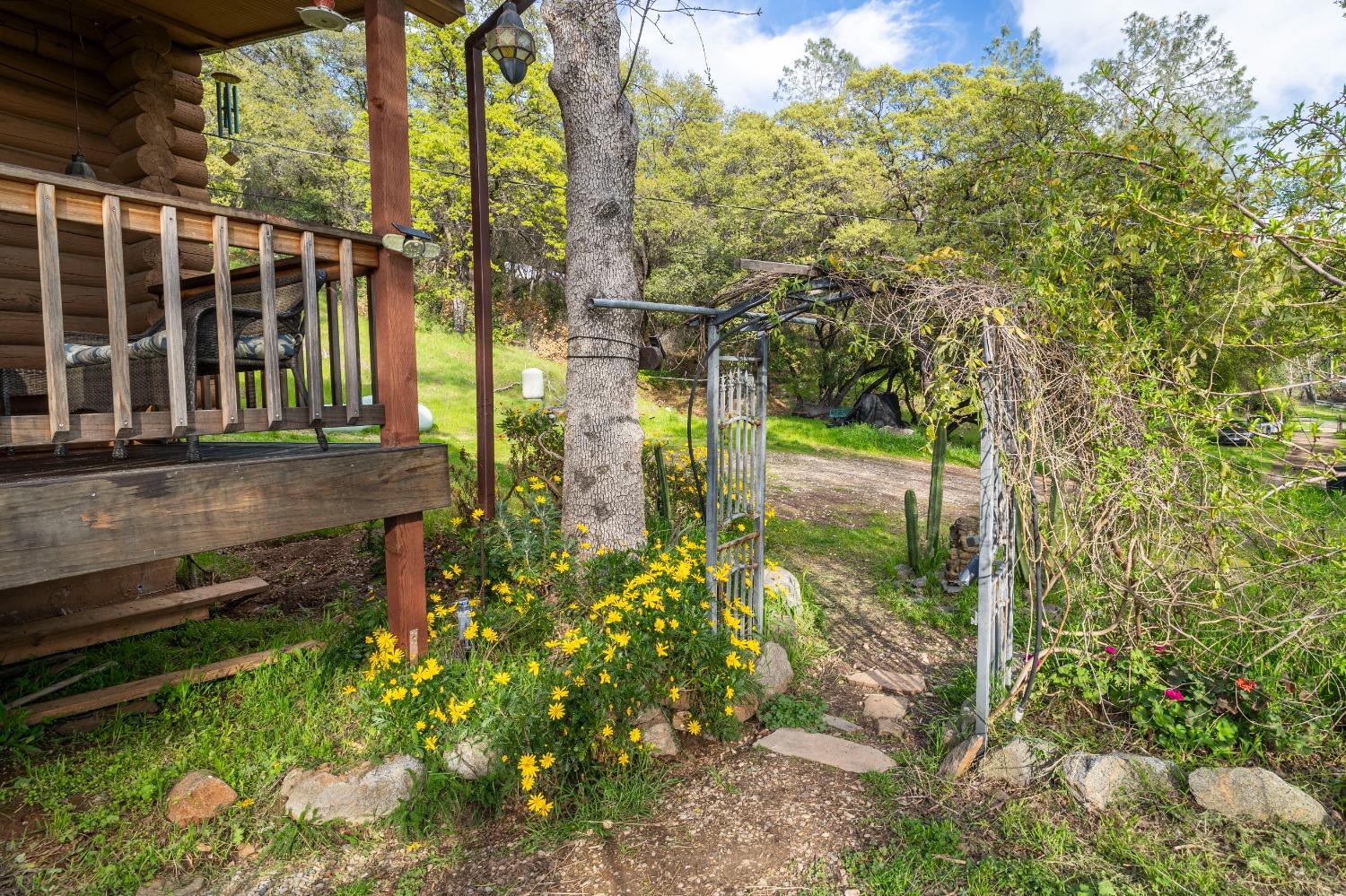 16100 Barbara Court Grass Valley, CA 95949 - Photo 52 of 86