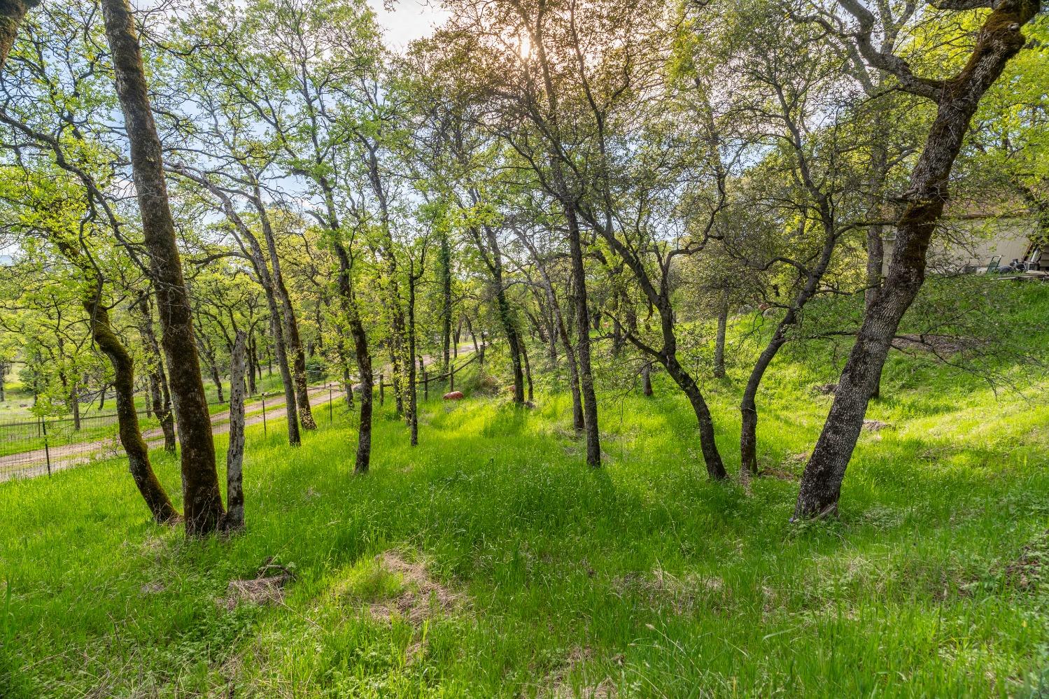 16100 Barbara Court Grass Valley, CA 95949 - Photo 53 of 86