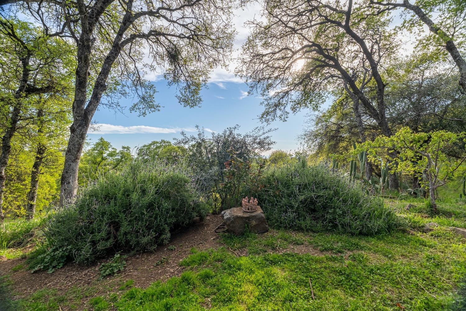 16100 Barbara Court Grass Valley, CA 95949 - Photo 54 of 86