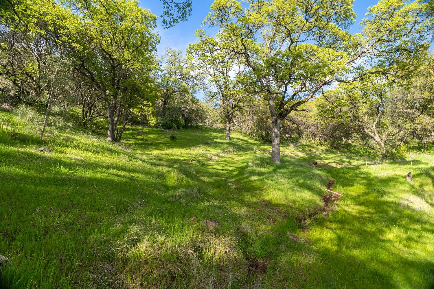 16100 Barbara Court Grass Valley, CA 95949 - Photo 57 of 86