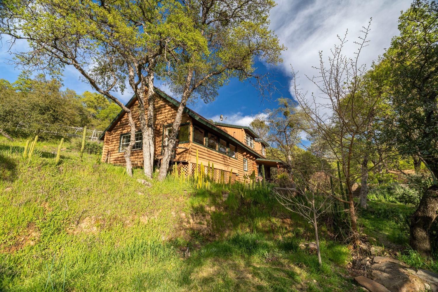 16100 Barbara Court Grass Valley, CA 95949 - Photo 58 of 86