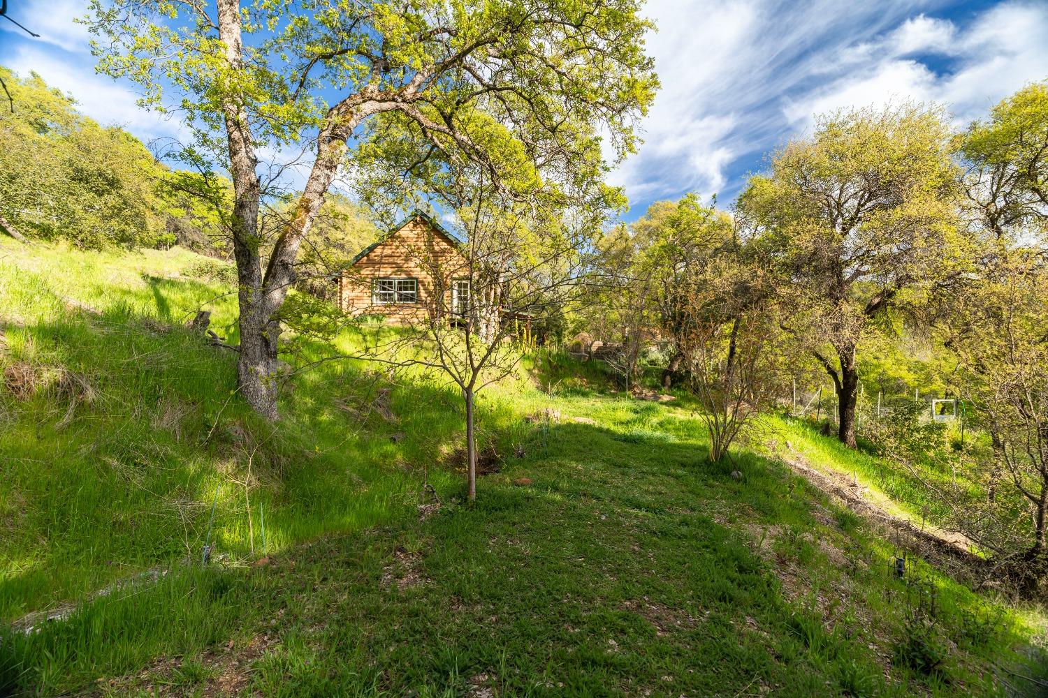 16100 Barbara Court Grass Valley, CA 95949 - Photo 59 of 86