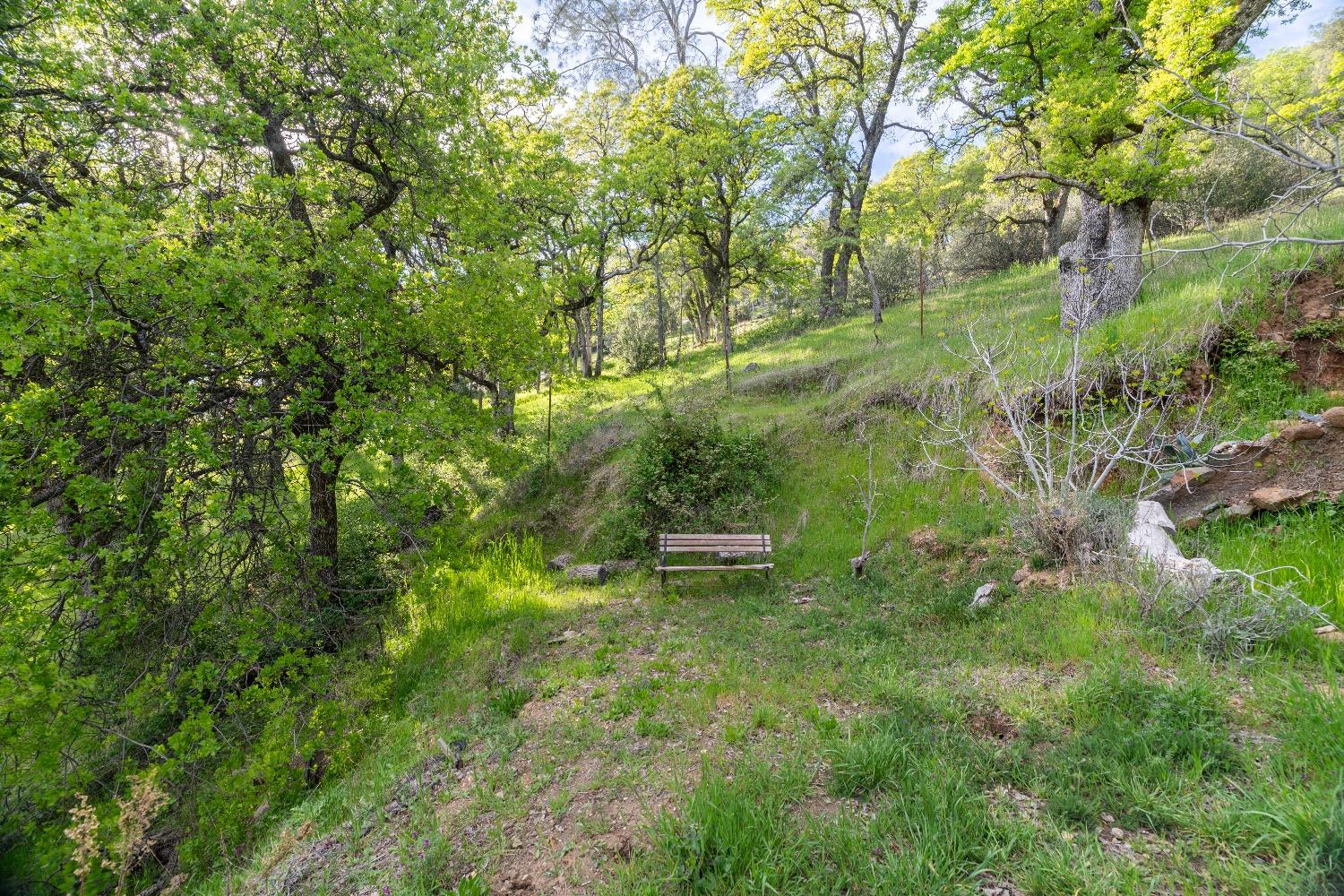 16100 Barbara Court Grass Valley, CA 95949 - Photo 60 of 86
